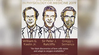 مشروع حول جائزة نوبل للسلام للغة الانجليزية للسنة 2 ثانوي علمي 