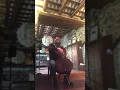 Cello cover: Unintended. Muse