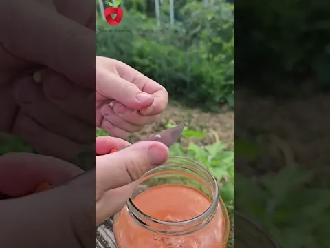 Zaštita biljaka od smrdibuba, ušiju i drugih štetnika