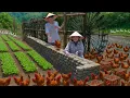 Download Lagu RAHASIA Bertahan dari Banjir di Ladang Off-Grid KamiMenjual Ayam \u0026 Membangun Dinding Batu