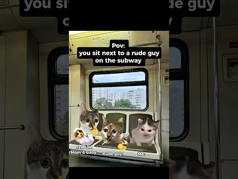 you sit next to a rude guy on the subway #catmemes #catshorts #funnycats