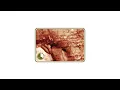 Aphex Twin - Selected Ambient Works Volume II (Expanded Edition) (Full Album)