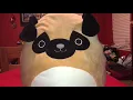 Kellytoy squishmallow pug stuffed animal toy review