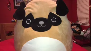 Kellytoy squishmallow pug stuffed animal toy review