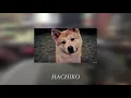 Download Lagu AHMADA DAISUKI  LAGU JEPANG JAPANESE SONG (Kocak)
