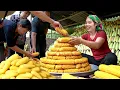 Harvest 200kg Waxy Corn to Sell at Market - Cook yummy Food from Corn with Single mom