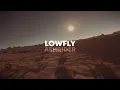 "Phenomena" - A Star Citizen Lowflying Montage