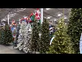 2020 Christmas Trees at Lowe s