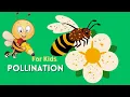 Pollination For Kids What Is Pollination Are Wasps Pollinators Pollination Agents