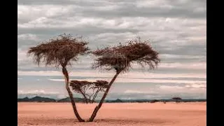 تلاوة خاشعة جدا من سورة آل عمران وقصار السور الشيخ راغب غلوش رحمه الله 