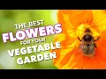 Download Lagu The Best Flowers To Boost Vegetable Gardens 🌺🐝