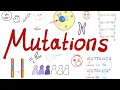 Types of Mutations Changes in the Gene Pool Genetic Drift Biology