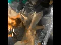 Le chant des sirènes