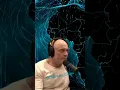 What Are Ley Lines and Why Ancient Sites Align With Them - Joe Rogan Experience