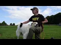 LaMancha Animal Rescue
