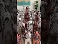 Download Lagu Can you find the real dog? #shorts
