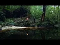 Download Lagu 2 HARI SOLO CAMPING SURVIVAL DIHUTAN SUNYI SAMBIL MEMANCING DAN BERBURU