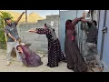 Lagu Mostafa's Discomfort with the Neighbor's Woman:Dangerous Conflict with Mahvash