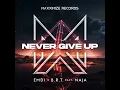Never Give Up (feat. NAJA) - EMDI & B.R.T