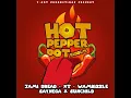Hot Peppa Pot Riddim Instrumental