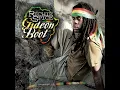 Babylon Falling - Richie Spice