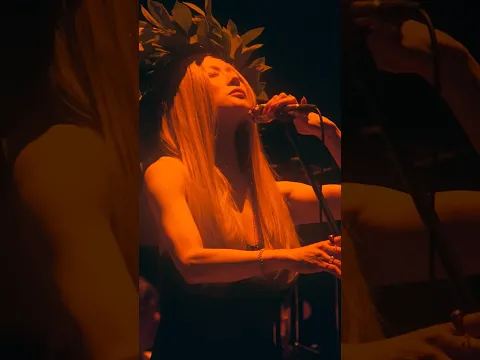 「S I・G E・K I」from 党大会令和巡回　　　　Live Blu-ray/DVD　2026年10月28日(水)発売