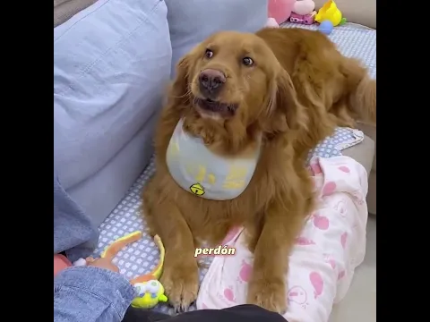 🐶 Tenía dinero, pero decidió gastarlo en los demás… ¡y mira lo que pasó! 😭❤️