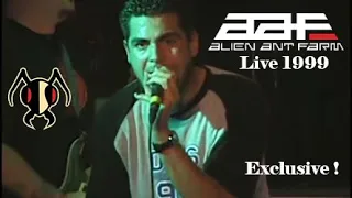 Download Alien Ant Farm Live Exclusive  July 9, 1999 MP3