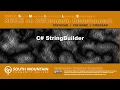 C Xamarin Cohort 02U - StringBuilder