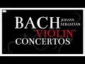 2 Hours Bach Violin Concertos | Classical Baroque Music | Focus Reading Studying
