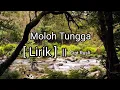Download Lagu LAGU LAMPUNG - MOLOH TUNGGA [Lirik] || Cipt.Rusli || NOSTALGIA MP3