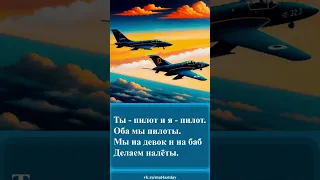 206 Частушки про пилотов  206 Частушки про пилотов