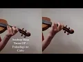 Fukashigi no Carte - Seishun Buta Yarou wa Bunny Girl Senpai no Yume wo Minai ED [Violin Cover]