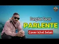 Download Lagu DANGDUT PARLENTE || COVER ICHEL SELAN