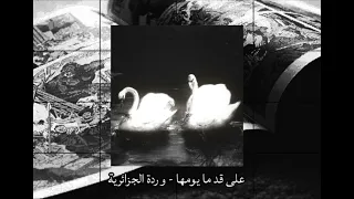 على قد ما يومها وردة الجزائرية بدون موسيقى 