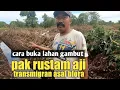 Download Lagu BEGINI CARA PAK RUSTAM MENGOLAH LAHAN GAMBUT DITRANSMIGRASI