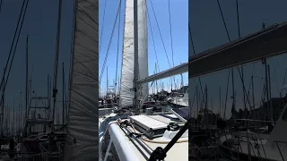 #fyp #dream #vlog #sailing #pets #doberman