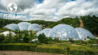 Download They Built a Rainforest Ecosystem inside a Geodesic Dome MP3