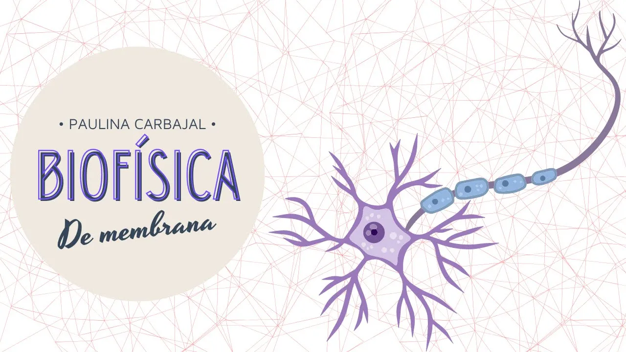 C2: Transporte de Membrana y Biofísica