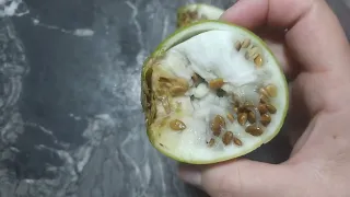 اخطر خيوبه للتفريق بين شخصين بالحدجة والقطران دقة بطلة سحر التفريق للتواصل 0628976061 