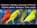 Download Lagu 🎉 PROMO TERGIL4 ( KENARI IMPORT ) THN 2025 TERMURAH PARAH DI PASAR BURUNG PRAMUKA TERBARU HARI INI