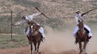 فرسان اولاد سيدي عبيد عرب بئر العاتر  فرسان اولاد سيدي عبيد عرب بئر العاتر
