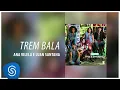 Ana Vilela e Luan Santana - Trem Bala (Malhação - Viva a Diferença) [Áudio Oficial]