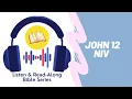John 12 NIV Listen Read-Along Bible Series