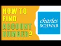 How to find Charles Schwab Account Number