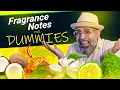 Fragrance Notes EXPLAINED For Dummies