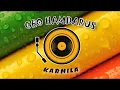 Download Lagu FARID HARDJA - KARMILA Cover by GEO HAMDARUS Music DJ REMIX