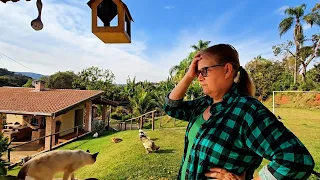  OLHA O QUE ACONTECEU HOJE! CUIDANDO DE TUDO SOZINHA.