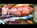 Download Lagu Spearfishing solo hunting || malinaw na visibility 🤑🤑