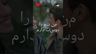 من تو را دوست دارم LoveNSharkفارسی N Persian 